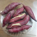 하늘공원 메타스퀘이어길 꽃무릇 상사화(2025.09.27) 이미지