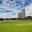 크리스탈 골프클럽 이미지