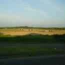 들녘목장 이미지