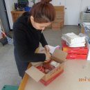 단양유기농원 이미지