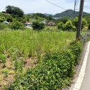 335부동산공인중개사사무소 이미지