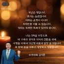 미셀주 이미지