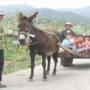 소백산 단산포도마을 농촌체험 안내 이미지