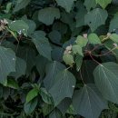 관매도대합실 이미지