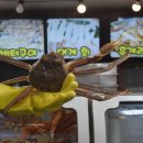 안녕후포리 이미지