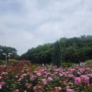 연주상사