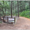 오감연결길 이미지