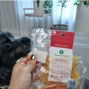 김선생펫푸드 이미지