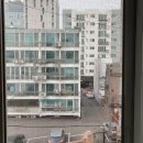 광성알미늄 | 인천 미추홀구 주안동 방충망 광성아파트 기능성 미세망 교체후기