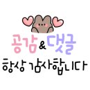 딜리헤어