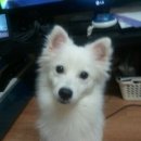 성내하니공원 이미지