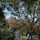 금강수목원(아) 이미지