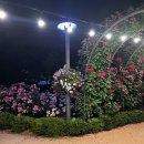 화락바베큐치킨광주 - 서구 운천로100번길 5 | 화락바베큐치킨광주