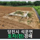 교로2리경로당 | 충청남도 당진시토지(전)경매-2023타경2515, 당진시 토지(전)경매>충청남도 당진시 석문면 교로리