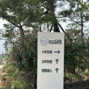 (구례)야외정원 대형카페, ‘반야원 플라타너스’ 후기