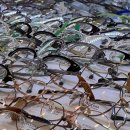 시선안경원 이미지