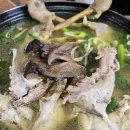 시골토종닭 | 충북 괴산군 칠성면 괴산산막이매운탕 괴산본점 능이토종닭백숙 백숙맛집 후기