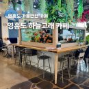 빵고래케익고래 | 인천 아이랑 가볼만한곳 영흥도 하늘고래 카페 동물원