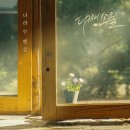 스튜디오디케이 스포츠경향