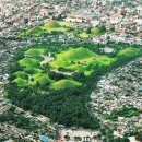 양식나라 이미지