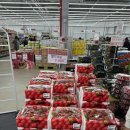 지마트 | 안 가면 후회하는 사송 지마트 진짜 여기 꼭 가세요(양산)