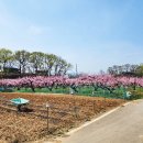 울옥리 이미지