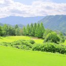 일본 마쓰야마 골프 여행, 시원한 고원 골프장 패키지 예약 팁(후기)