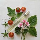[향수 리뷰] 메종 마르지엘라 '프롬 더 가든' 10ml 내돈내산 후기 🍅 (ft. 인간 토마토 되기)