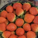 부광상회 이미지