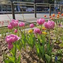 서소문파출소 이미지