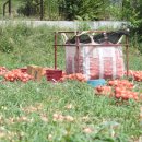 요셉농장 이미지