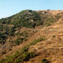 임존성낚시터 이미지