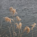 밀양무안식당 이미지