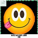 부곡동 부곡삼거리∼부곡5교차로 | 부곡동 애견카페 카페 날마다봄날 가격 및 후기 추천 리뷰 주차 예약 알아볼까요