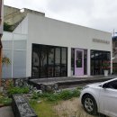 분보남보 이미지