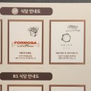 와이비디11