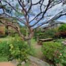 메이플펜션 이미지