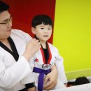 킹태권도장 이미지