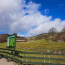 우람목장 | 내돈내산) 대관령양떼목장 추천후기, 주차, 가격, 정보, 근처 맛집 + 강릉여행