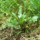 그린파크 이미지