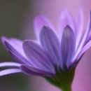 효드림복지용구 이미지