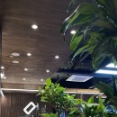 옵티머스당구클럽 이미지