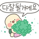닉스엔녹스 네이버블로그