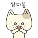 애니펫 동물병원 이미지