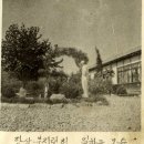 매포초등학교 제 25회 총동문 체육대회 (2013년 4월 27일) 이미지