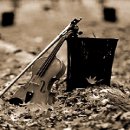 아름다운 선율 바이올린 이미지