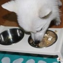 랑이네식탁 이미지