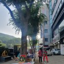 아이더남한 | 성남 남한산성 쿨토시 팔토시 파는 곳