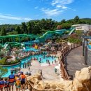 스플라스리솜 이미지