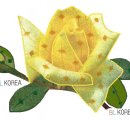 바다의선물 이미지